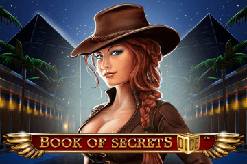 Book Of Secrets Dice